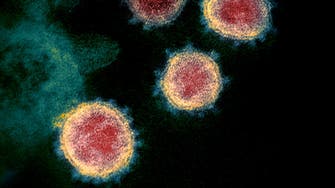 Researchers discover antibody that can potentially block, ‘neutralize’ coronavirus