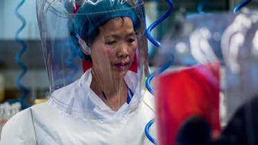 "المرأة الوطواط".. خبيرة الفيروسات الصينية تعود إلى الواجهة في أزمة كورونا