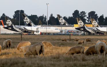 Air New Zealand planes sit parked on the tarmac as sheep graze in a nearby field at Christchurch Airport in Christchurch, New Zealand, on Wednesday, May 20, 2020. (AP)