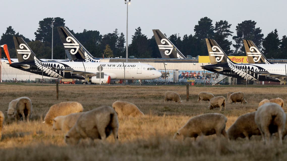 Air New Zealand planes sit parked on the tarmac as sheep graze in a nearby field at Christchurch Airport in Christchurch, New Zealand, on Wednesday, May 20, 2020. (AP)