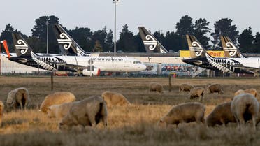 Air New Zealand planes sit parked on the tarmac as sheep graze in a nearby field at Christchurch Airport in Christchurch, New Zealand, on Wednesday, May 20, 2020. (AP)