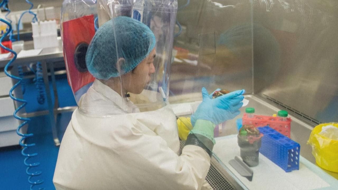 معهد ووهان للفيروسات ينفي تصنيع كورونا في مختبراته