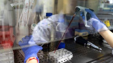A researcher works inside a laboratory of Chulalongkorn University during the development of an mRNA type vaccine candidate for the coronavirus disease (COVID-19) in Bangkok, Thailand, May 25, 2020. (Reuters)
