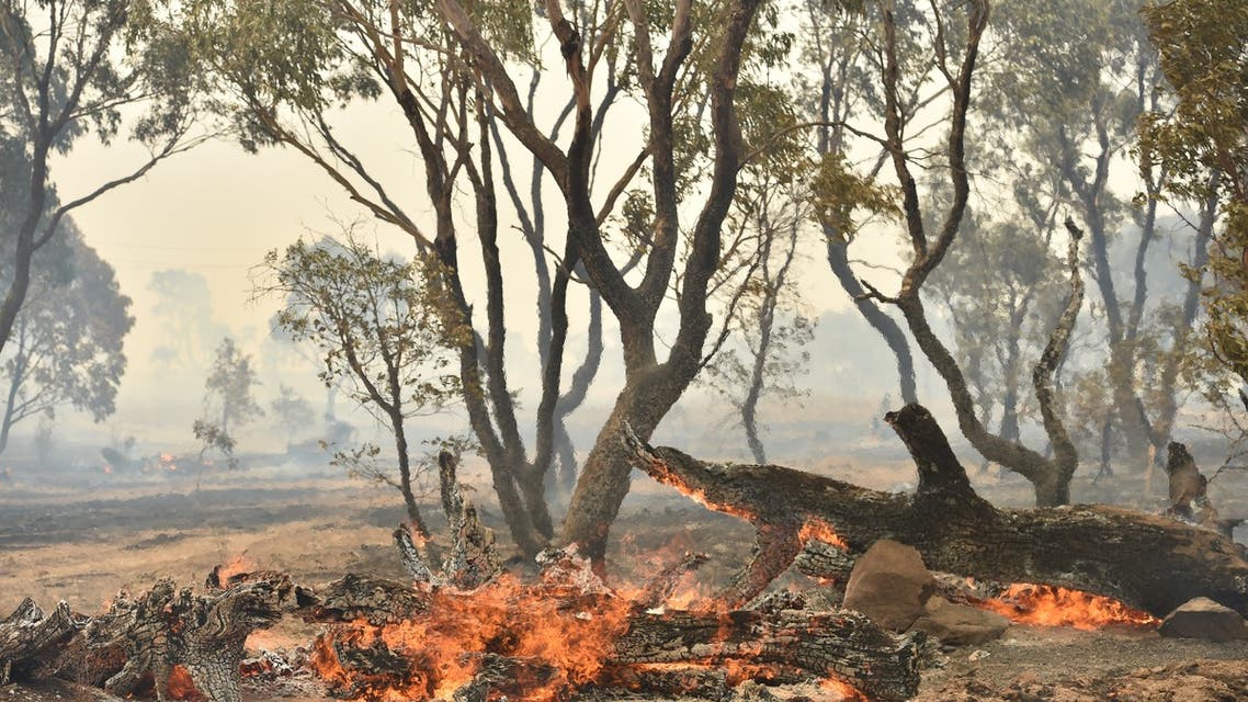 A bushfire burns near the town of Bumbalong, south of Canberra on February 2, 2020. A fire that threatened Canberra's southern suburbs was downgraded early on February 2, allowing firefighters to strengthen containment lines and protect residents.