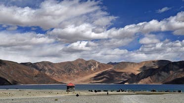 This photo taken on September 14, 2018, shows tourists taking selfies as cows gaze in front of the Pangong Lake in Leh district of Union terrritory of Ladakh bordering India and China. (AFP)