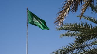 تأييد عربي لبيان الرياض بشأن تقرير مقتل خاشقجي