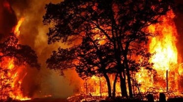 ادامه آتش‌سوزی وسیع جنگل‌های خائیز در کهگیلویه و بویراحمد