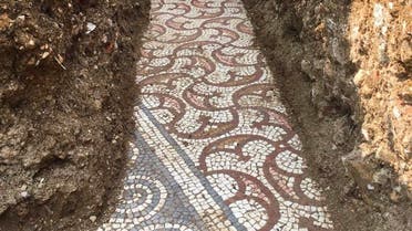 A view of a well-preserved colorful mosaic floor of an ancient Roman villa archaeologists have revealed among vineyards near the northern city of Verona, Italy. (AP)