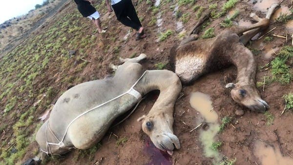 وفاة سعودي بصاعقة رعدية في منطقة جازان
