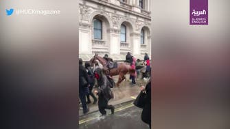 Loose horse charges through Black Lives Matter protesters in London