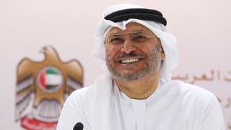 Israel annexation freeze ‘significant diplomatic achievement’ by UAE, says FM Gargash
