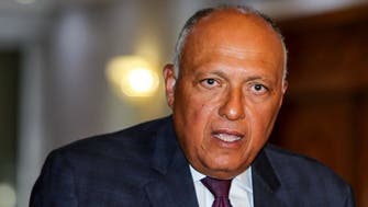وزير خارجية مصر: يجب التصدي بحزم لنقل الإرهابيين إلى ليبيا