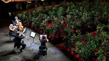 The Uceli Quartet perform for an audience made of plants during a concert created by Spanish artist Eugenio Ampudia and that will be later streamed to mark the reopening of the Liceu Grand Theatre in Barcelona on June 22, 2020 (AFP)The Uceli Quartet perform for an audience made of plants during a concert created by Spanish artist Eugenio Ampudia and that will be later streamed to mark the reopening of the Liceu Grand Theatre in Barcelona on June 22, 2020 (AFP)