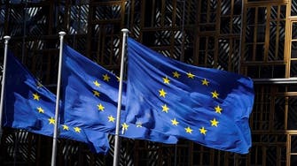 EU welcomes ceasefire declaration in Libya, urges quick implementation