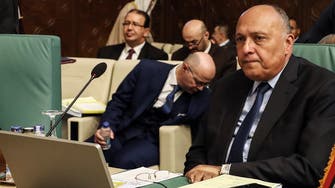 وزراء خارجية مصر وفرنسا وألمانيا يشددون على حل سياسي بليبيا