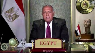 شكري أمام مجلس الأمن: مصر لن تقبل تهديد أمنها المائي
