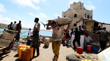 A fisherman carries his catch in front of buildings, destroyed during a war, in Hamarweyne district near a fishing port in Mogadishu, Somalia September 14, 2018. (Reuters)