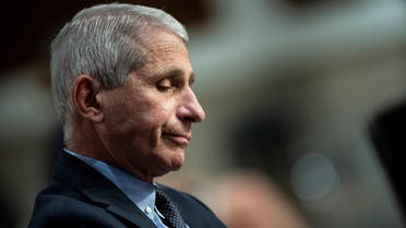 Anthony Fauci, director of the National Institute of Allergy and Infectious Diseases, speaks during a Senate hearing, June 30, 2020. (File Photo: Reuters)