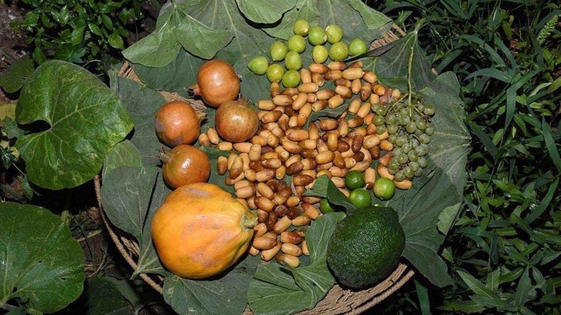 KSA: Al Ahsa Furits and vegetables