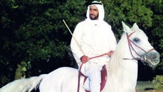 Abu Dhabi renames district to honor famed Arabian horse breed Rabdan