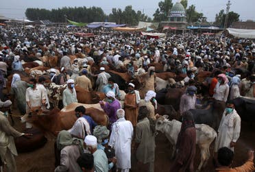 A livestock market in Peshawar, Pakistan, July 4, 2020, ahead of Eid al-Adha. (AP)