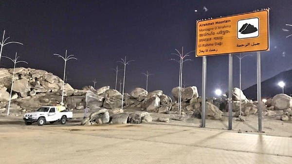 "البيئة" تكثف أعمال مكافحة نواقل الأمراض خلال موسم الحج