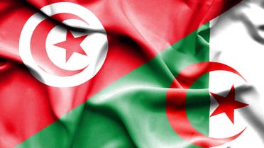Waving flag of Algeria and Tunisia stock illustration