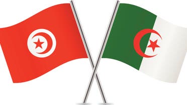 Waving flag of Algeria and Tunisia stock illustration