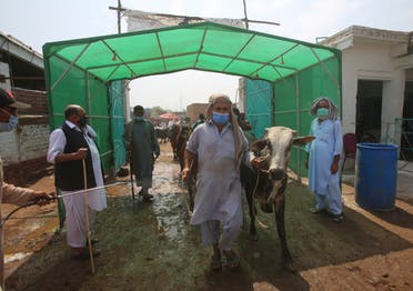 A livestock market in Peshawar, Pakistan, July 4, 2020, ahead of Eid al-Adha. (AP)