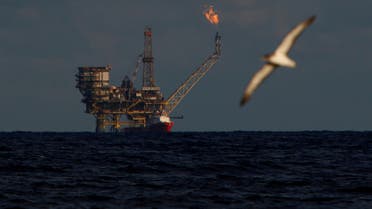 FILE PHOTO: A seagull flies in front of an oil platform in the Bouri Oilfield some 70 nautical miles north of the coast of Libya, October 5, 2017. REUTERS/Darrin Zammit Lupi/File Photo