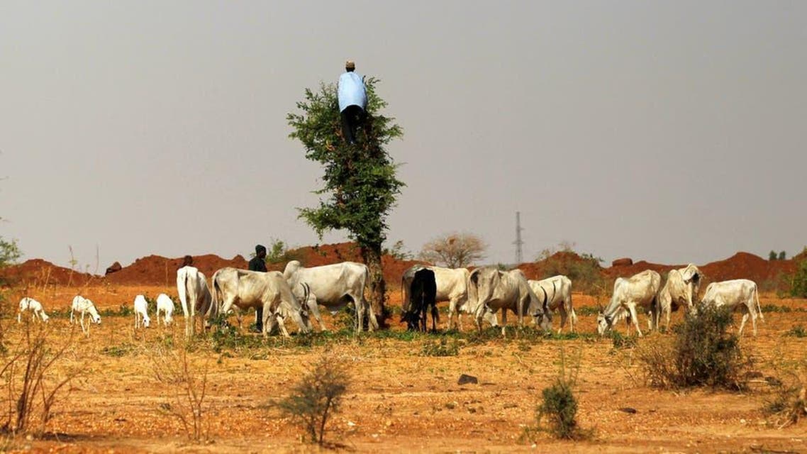 Nigeria