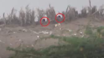 فيديو.. مقتل 9 قناصة حوثيين و3 من مساعديهم بالحديدة