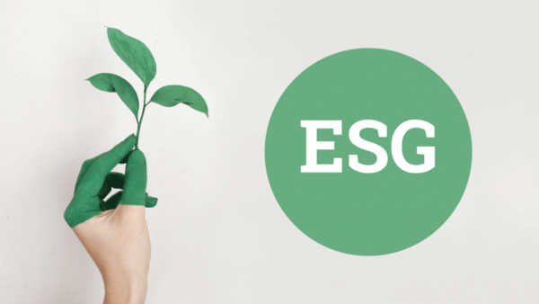 Esg в россии примеры GCC firms can attract foreign investment by embracing ESG business opportunities
