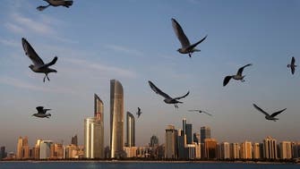 Abu Dhabi’s KIZAD announces plans for green ammonia plant