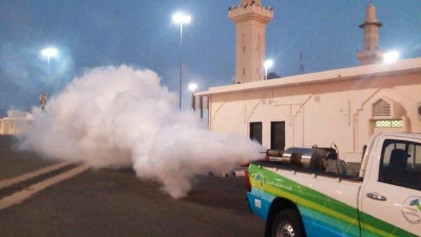 الاستعداد المبكر لمكافحة البعوض في المشاعر المقدسة