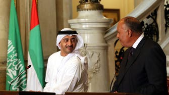 UAE supports Egypt’s efforts towards resolving Libyan crisis: Foreign Minister