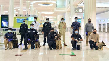 UAE trains police dogs to sniff out COVID-19. (WAM)