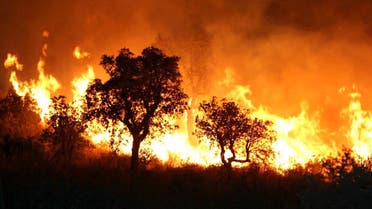 A fire burns late 01 September 2007 night in Tzarift, near Tlemcen, north-west of Algeria. (AFP)