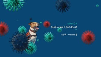 "كلاب مدربة" تكشف مصابي كورونا في الجمارك السعودية
