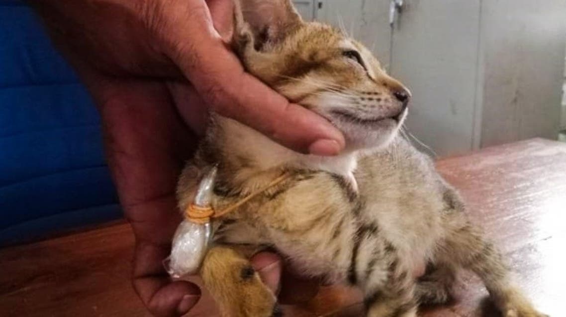 In this handout picture taken on August 1, 2020, and released by Sri Lanka Police, a prison-officer shows a cat detained at the high-security Welikada Prison in Colombo. (AFP0