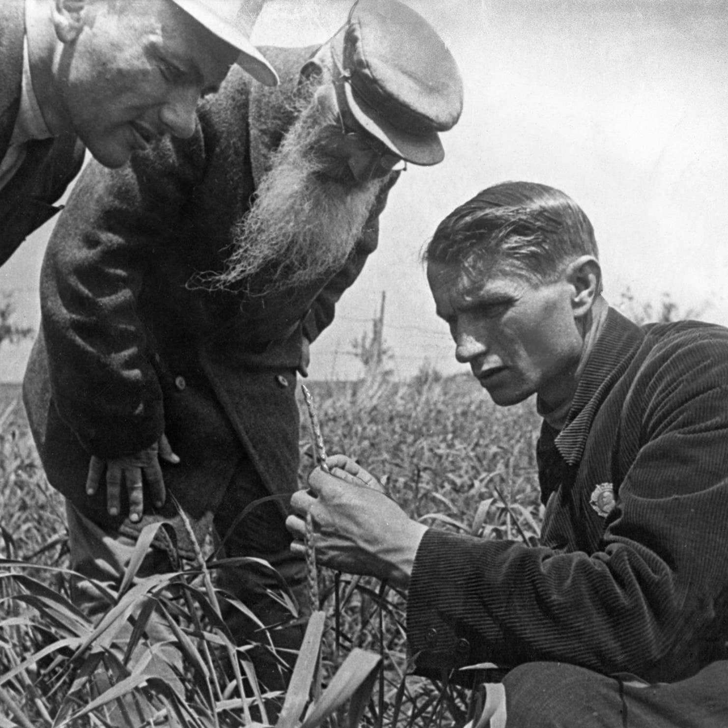قبل عقود.. حاولت موسكو إطعام العالم فقتلت 7 ملايين جوعا     