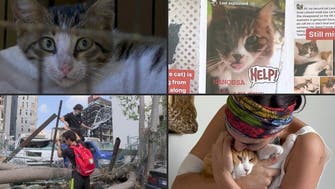 Watch: Lebanese find comfort in reuniting with pets lost in Beirut blast