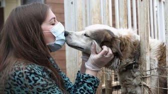 Coronavirus: Pets ‘more likely’ to catch COVID-19 from humans than infect people