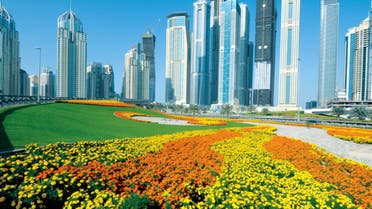 تشجير الأرصفة في شوارع دبي زراعة دبي