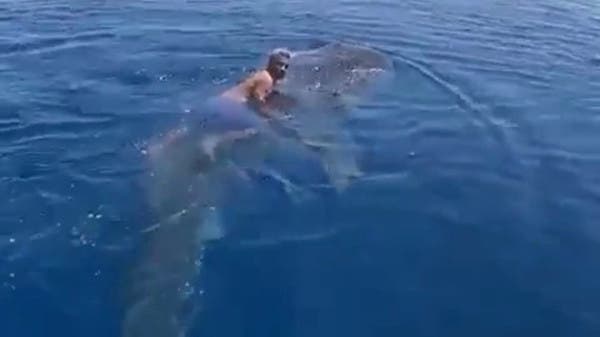السعودي أبو وديع يحكي قصة ركوبه على ظهر حوت