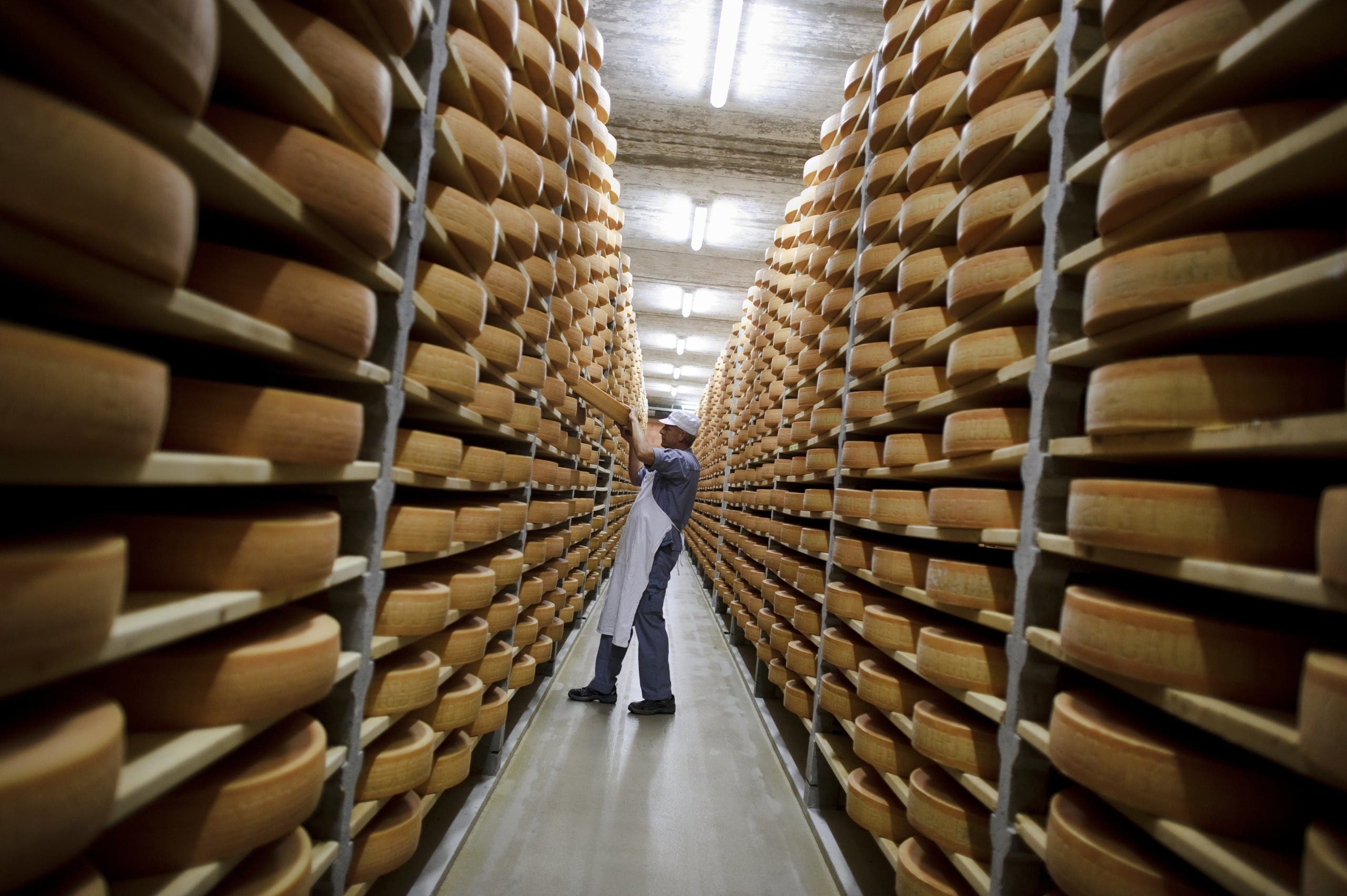 مصنع أجبان في سويسرا (أرشيفية)