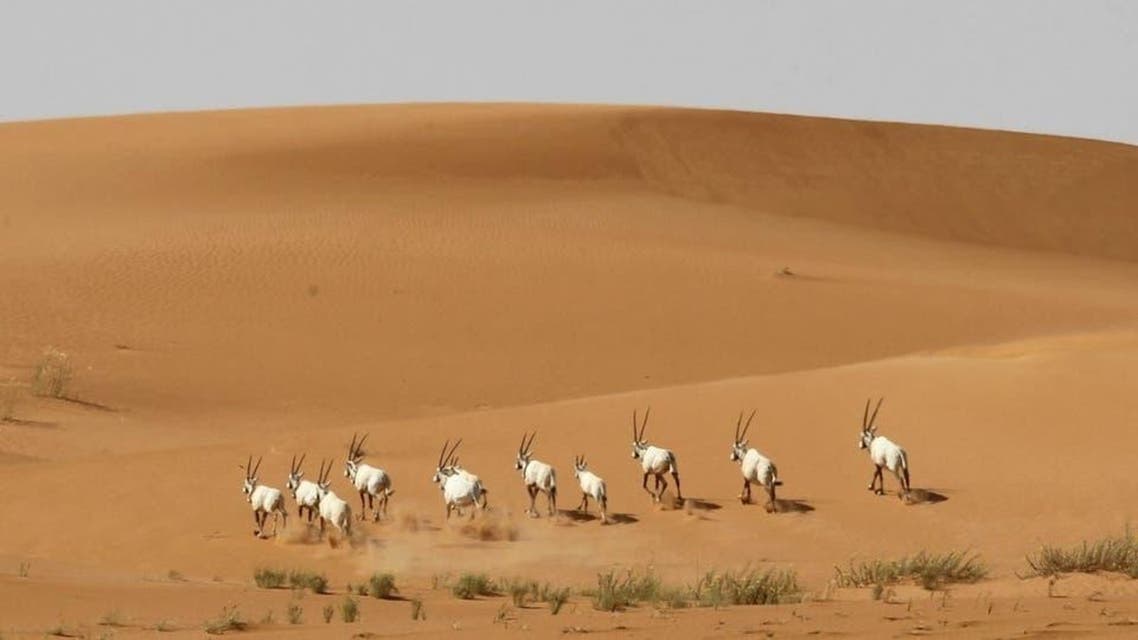 KSA: Desert