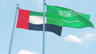 عبدالله بن زاید: روابط امارات و سعودی هر روز مستحکم‌تر می‌شود
