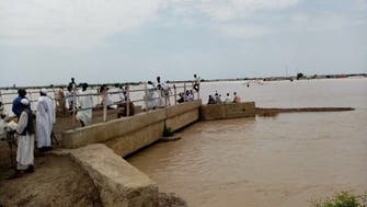 مشاهد مرعبة.. قرى ومدن سودانية تغرق في الفيضان