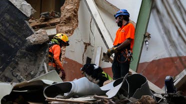 Chilean rescuers with their dog search in the rubble of a building that was collapsed in last month's massive explosion. (AP)
